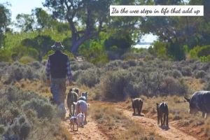 10534175_757627104300208_2613638558234318687_n